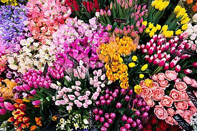 《黑神话：悟空》试玩报名已结束 近期发送试玩资格